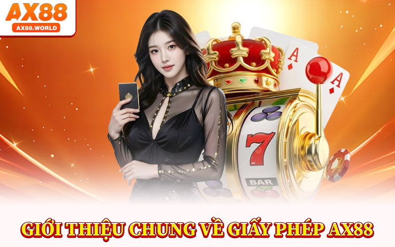Giới Thiệu Chung Về Giấy Phép AX88
